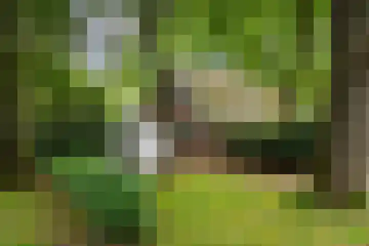 Hof van Halenweg 2 96 Hooghalen thumbnail 27