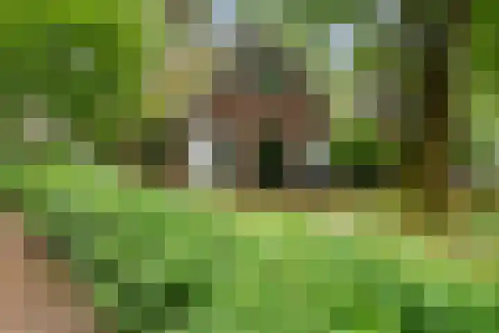 Hof van Halenweg 2 96 Hooghalen thumbnail 31