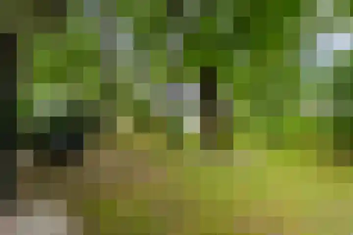 Hof van Halenweg 2 96 Hooghalen thumbnail 4