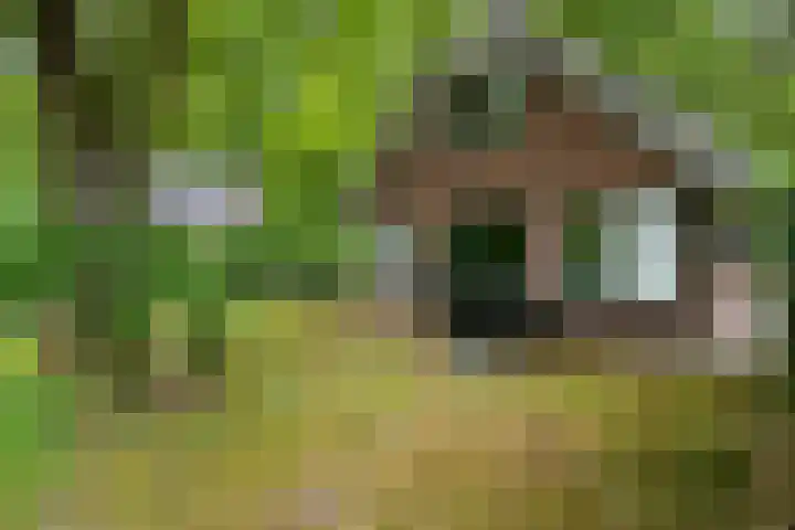 Hof van Halenweg 2 96 Hooghalen thumbnail 5