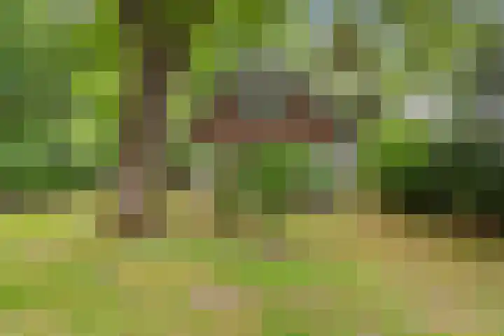 Hof van Halenweg 2 96 Hooghalen thumbnail 6