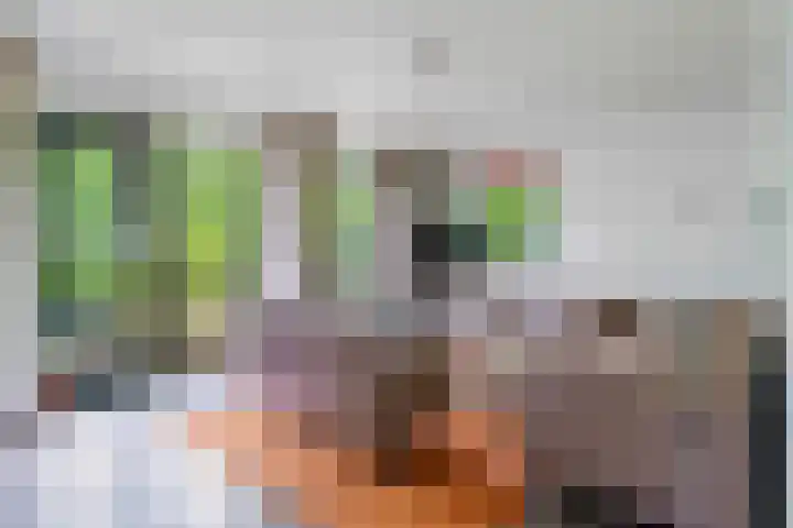 Hof van Halenweg 2 96 Hooghalen thumbnail 7