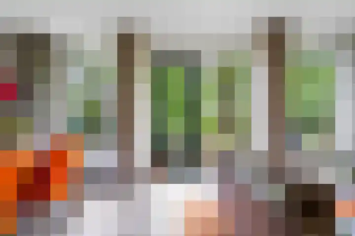 Hof van Halenweg 2 96 Hooghalen thumbnail 8