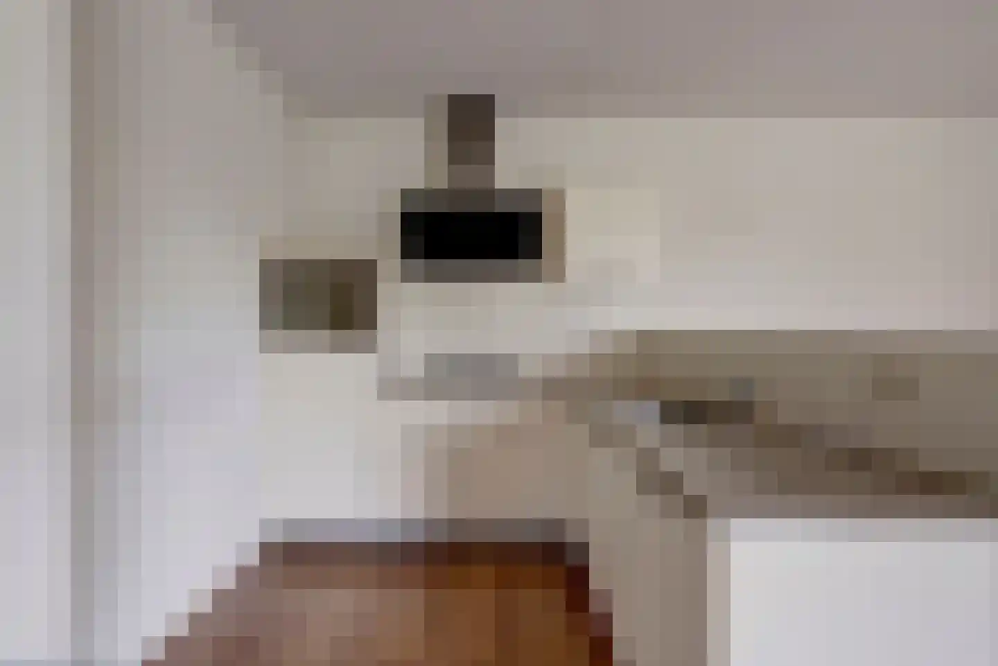 Hof van Kingma 34 Wierden thumbnail 17