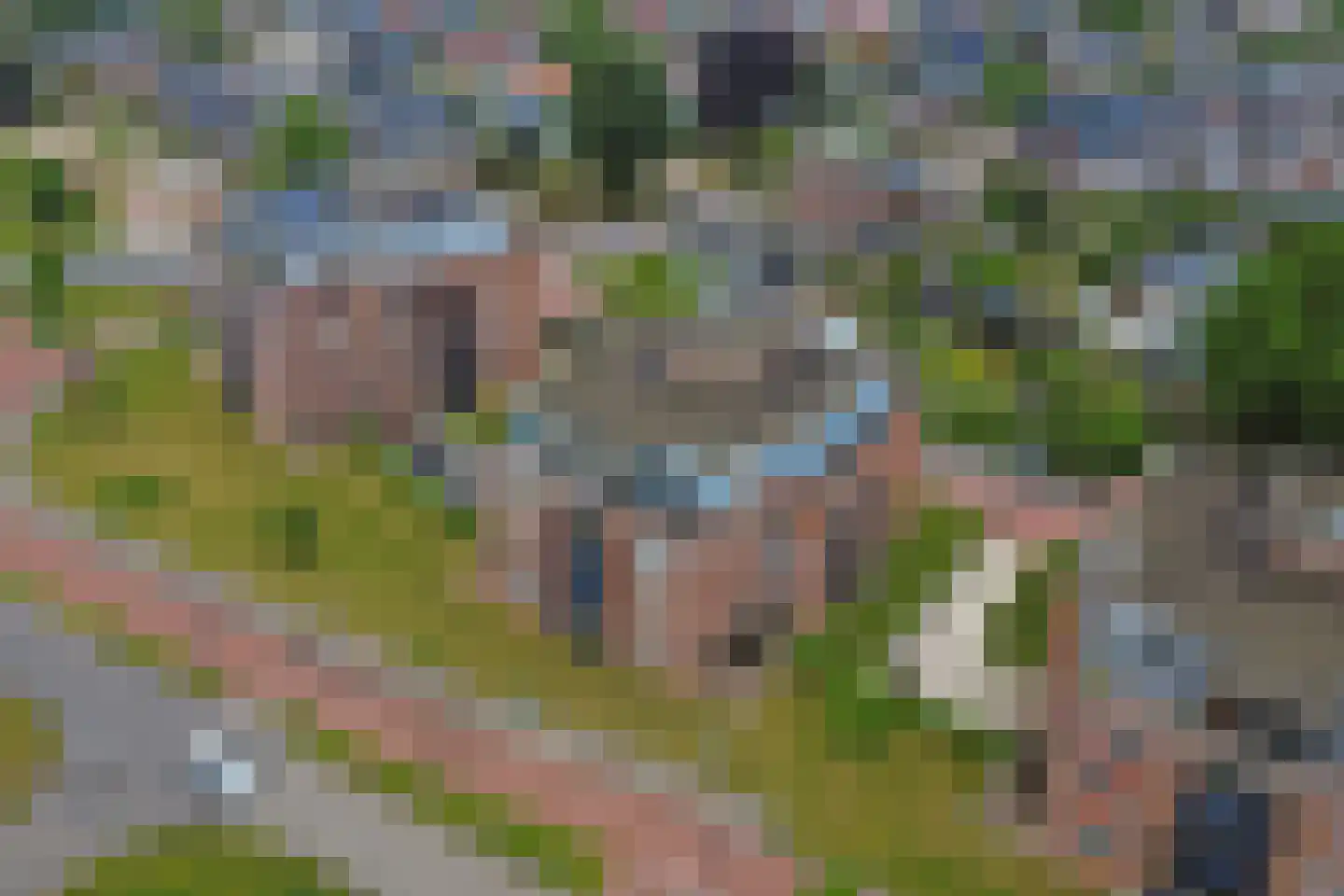 Hof van Kingma 34 Wierden thumbnail 41