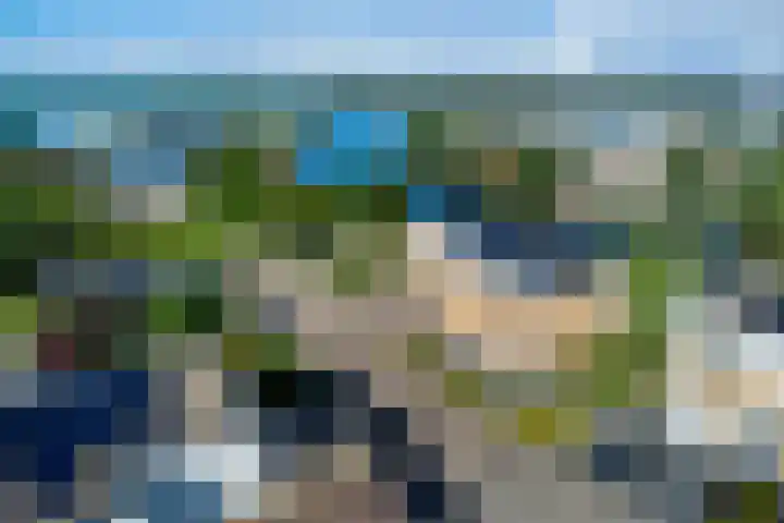 Hof van Kingma 42 Wierden thumbnail 28