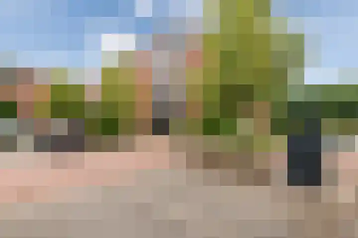 Hof van Kingma 42 Wierden thumbnail 40
