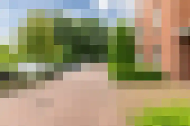 Hof van Kingma 42 Wierden thumbnail 9