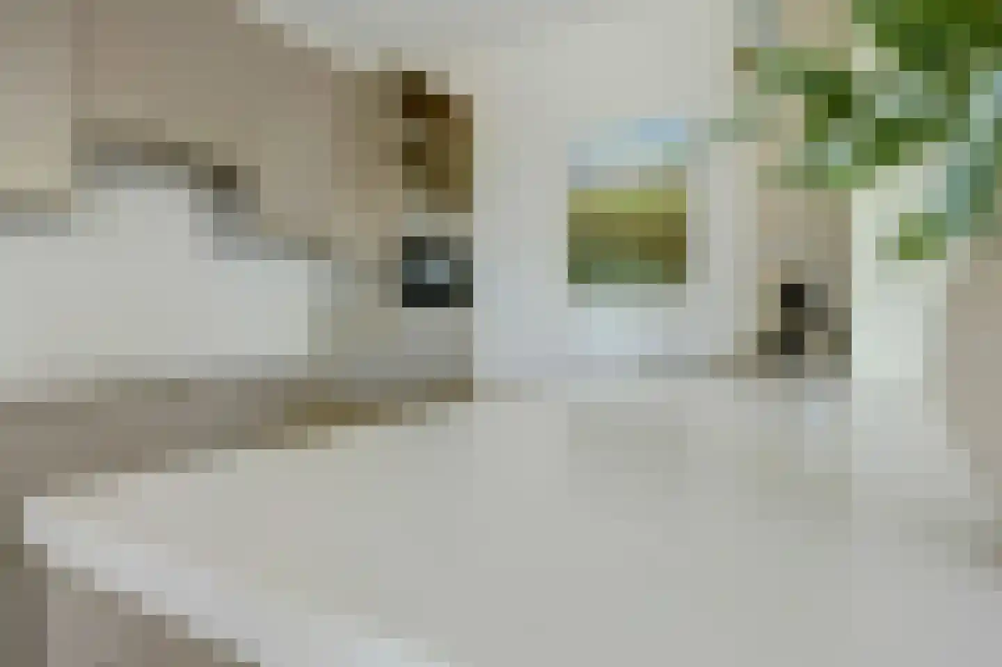 Hof van Kingma 58 Wierden thumbnail 15