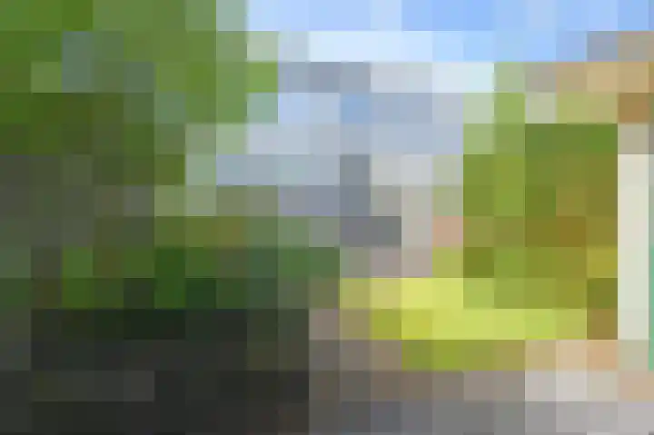 Hof van Koningsveld 19 Nootdorp thumbnail 16