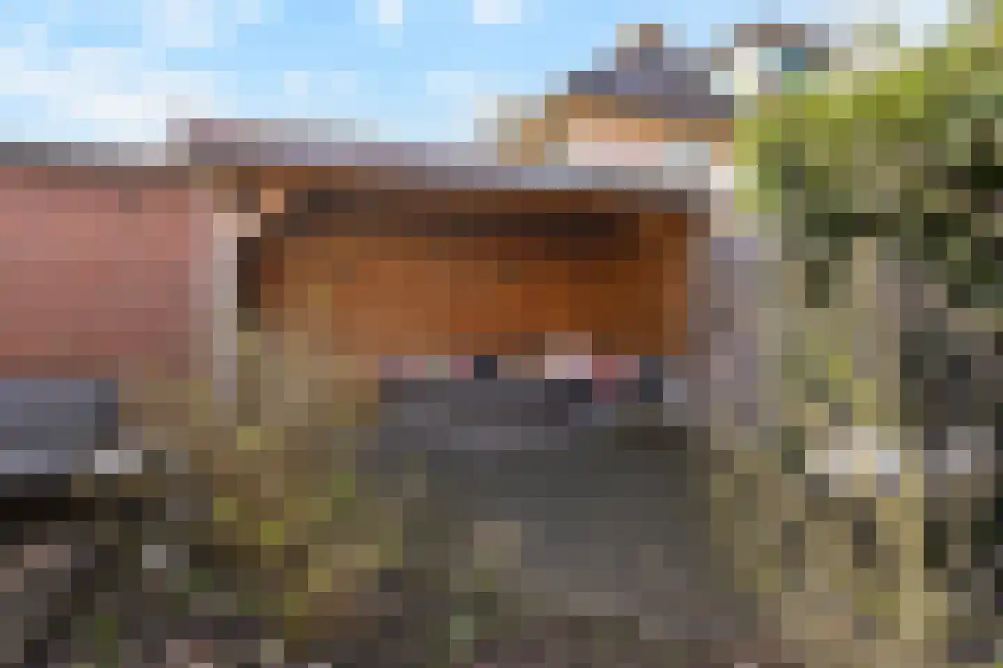 Hof van Leiden 16 Nootdorp thumbnail 16