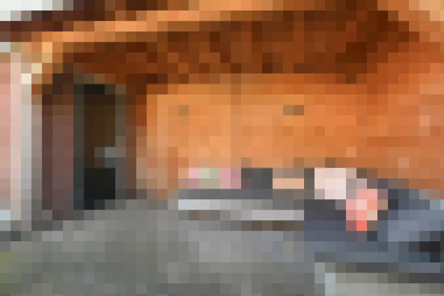 Hof van Leiden 16 Nootdorp thumbnail 17