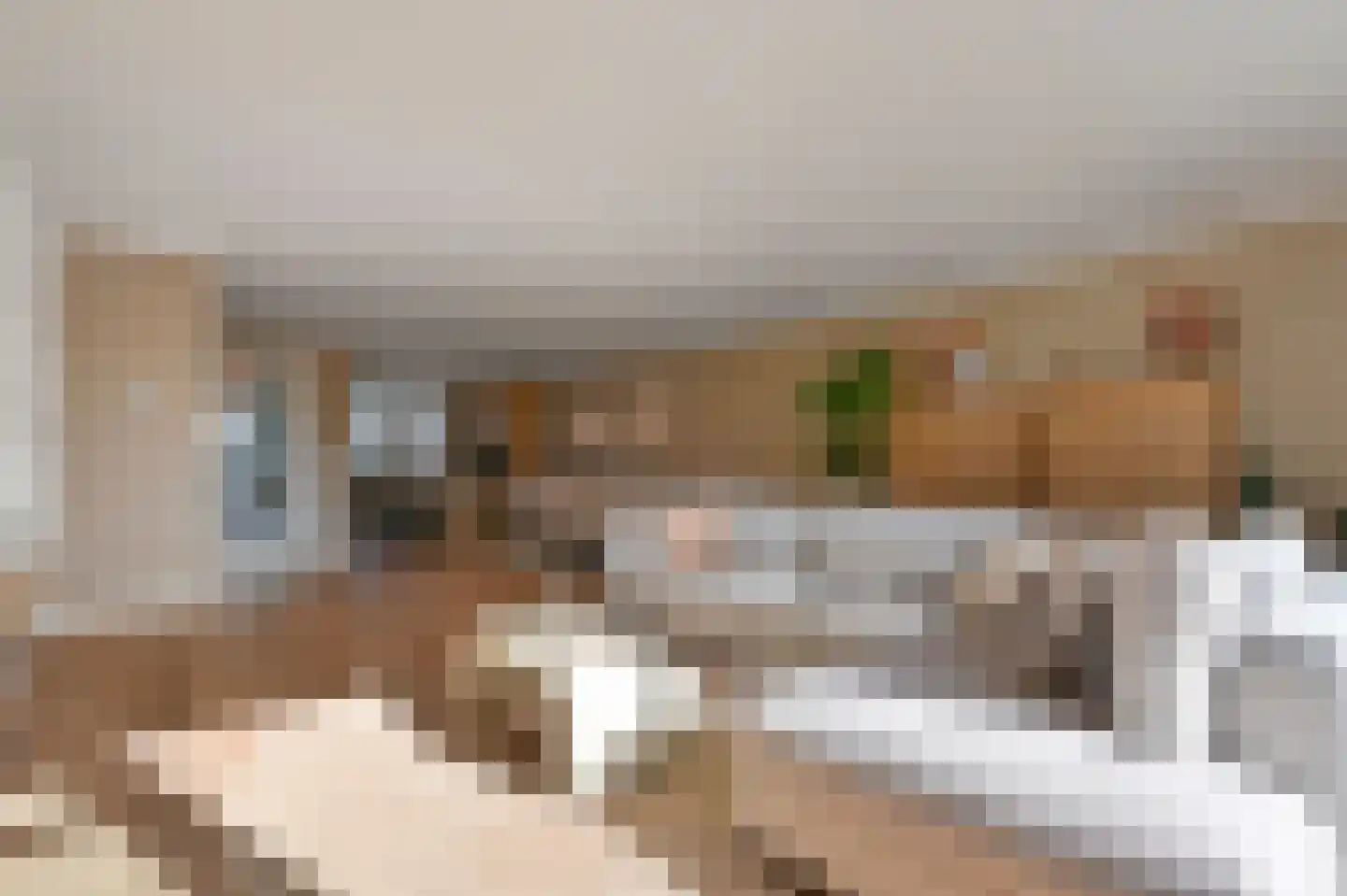 Hof van Leiden 16 Nootdorp thumbnail 20
