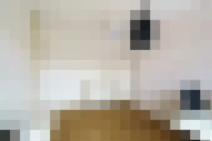 Hof van Leiden 47 Nootdorp thumbnail 17