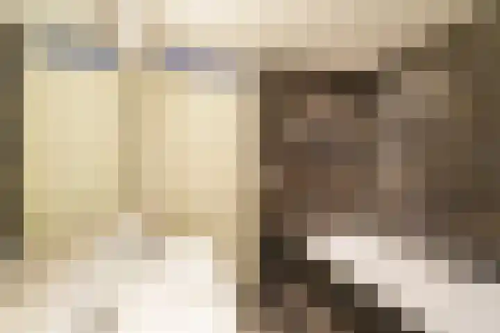 Hof van Leiden 47 Nootdorp thumbnail 21