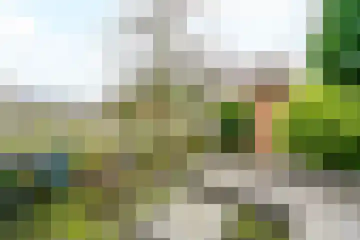 Hof van Leiden 47 Nootdorp thumbnail 29