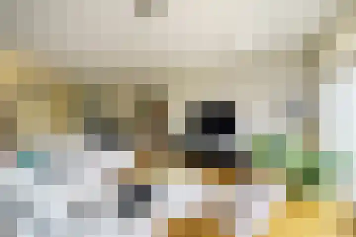 Hof van Leiden 47 Nootdorp thumbnail 5