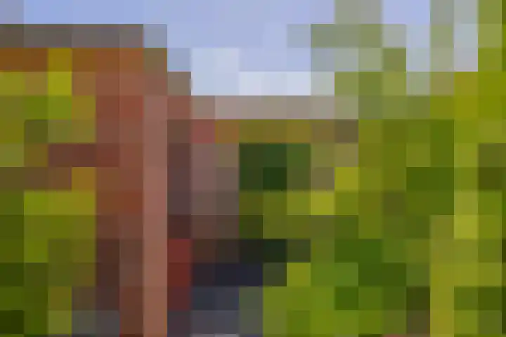 Hof van Leiden 48 Nootdorp thumbnail 11