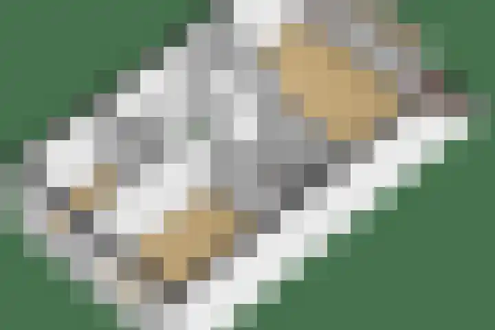 Hof van Leiden 48 Nootdorp thumbnail 41