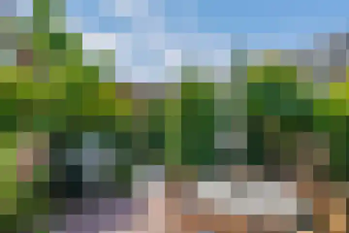 Hof van Leiden 48 Nootdorp thumbnail 9