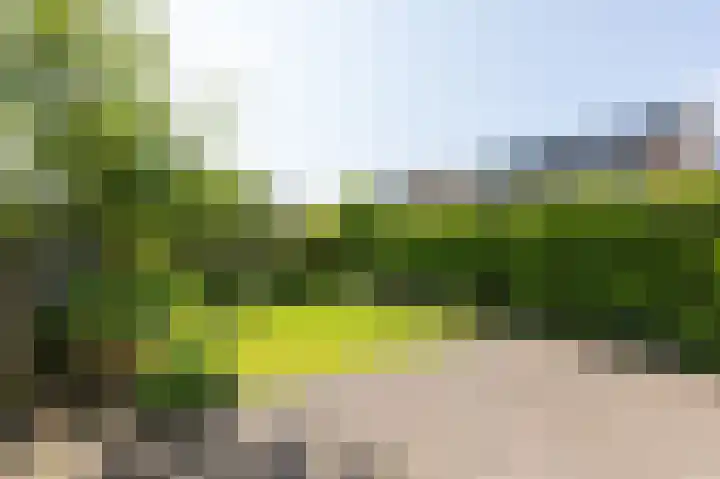 Hof van Londen 22 Doetinchem thumbnail 47