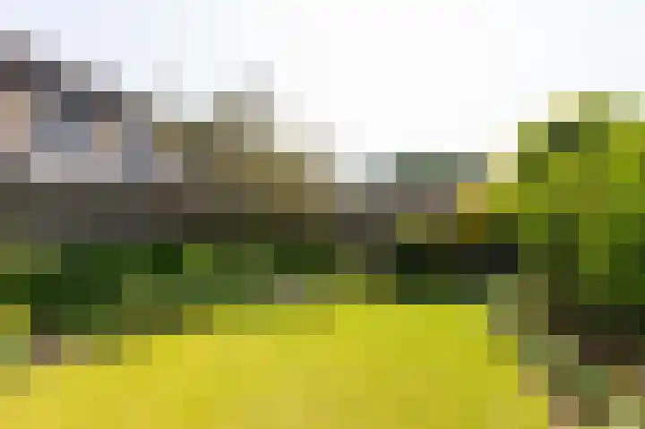 Hof van Londen 22 Doetinchem thumbnail 50