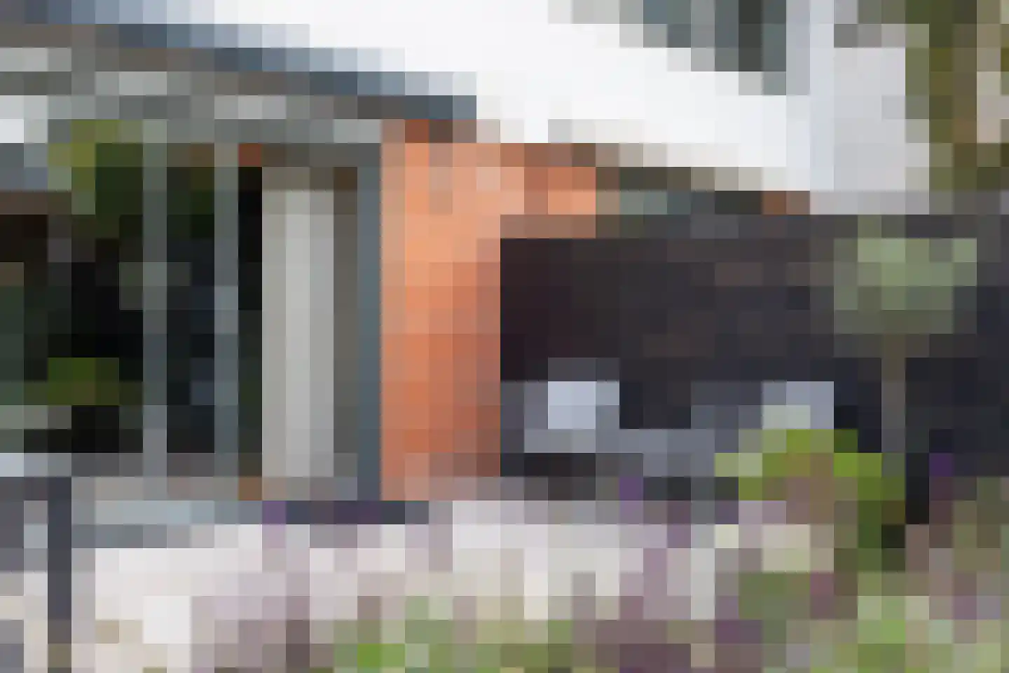 Hof van Londen 36 Doetinchem thumbnail 20