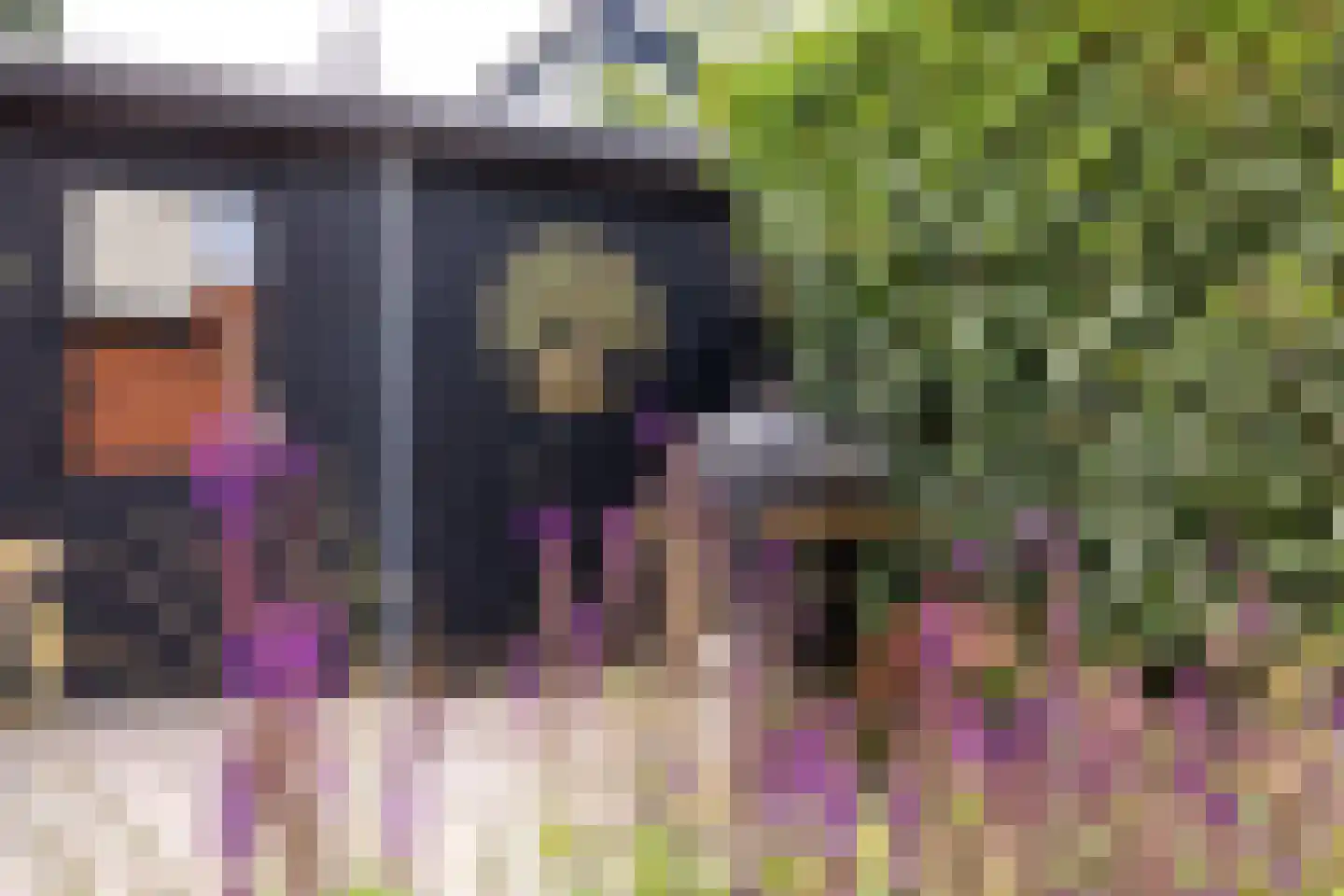 Hof van Londen 36 Doetinchem thumbnail 23