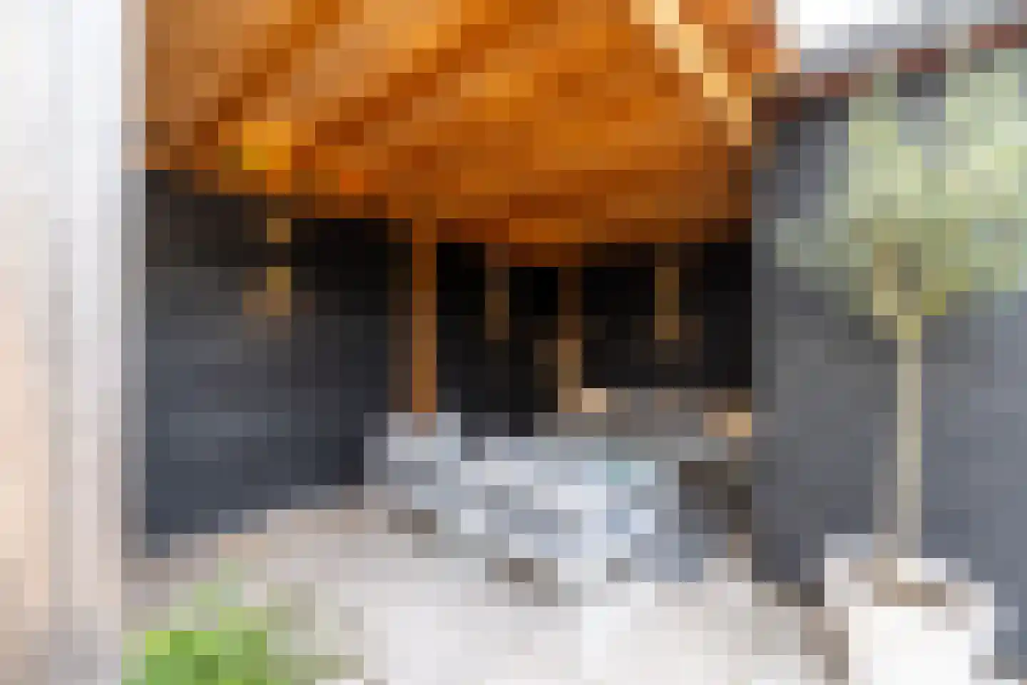 Hof van Londen 36 Doetinchem thumbnail 26