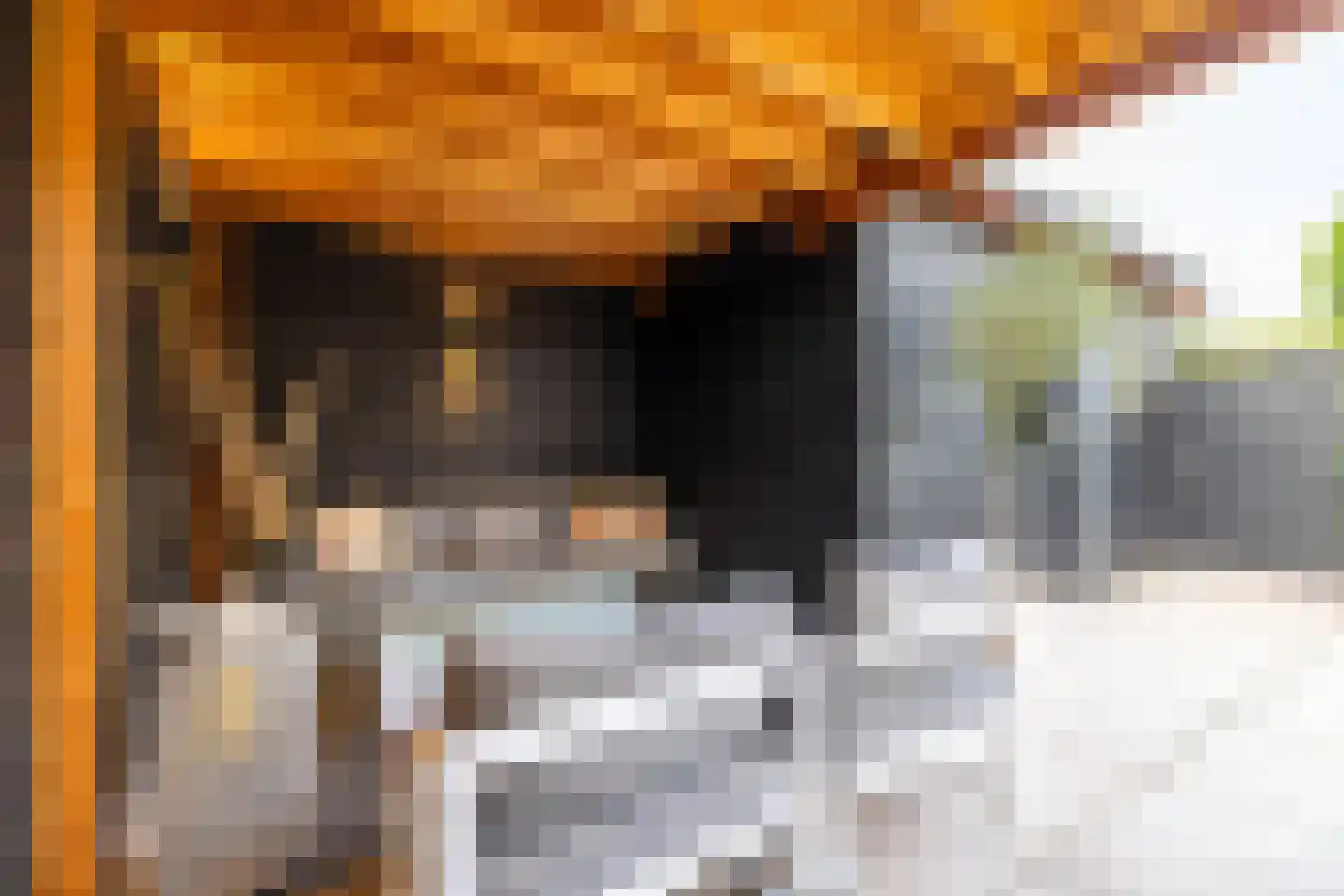 Hof van Londen 36 Doetinchem thumbnail 27