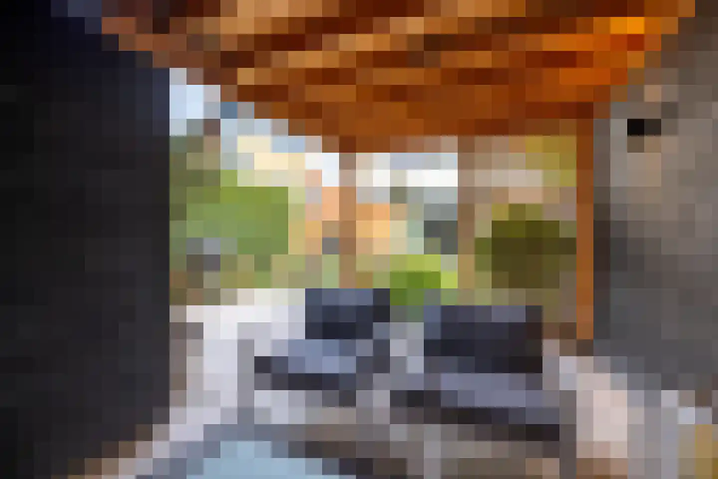 Hof van Londen 36 Doetinchem thumbnail 28