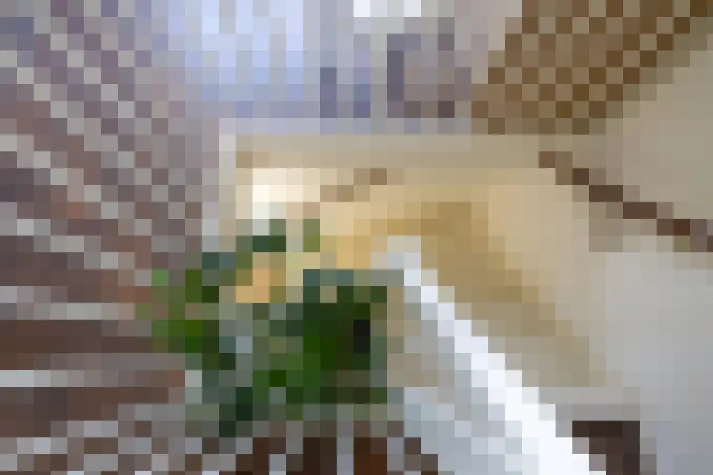 Hof van Londen 36 Doetinchem thumbnail 57