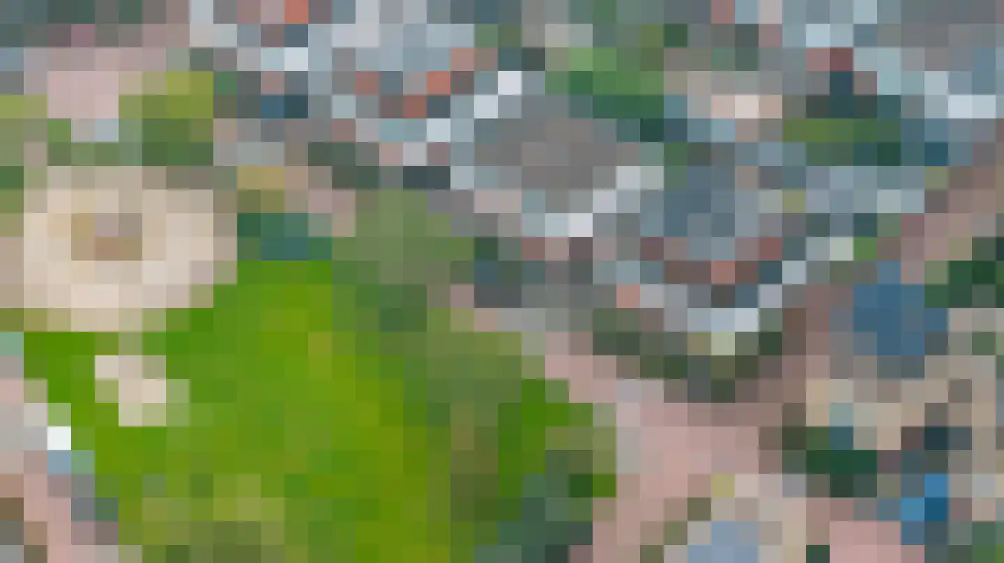 Hof van Londen 36 Doetinchem thumbnail 66