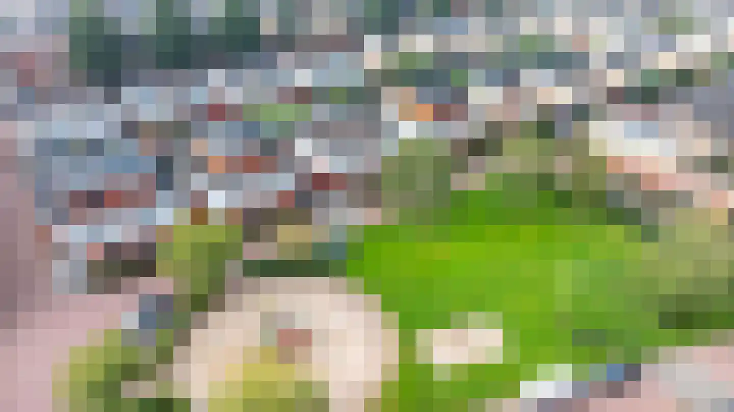 Hof van Londen 36 Doetinchem thumbnail 67