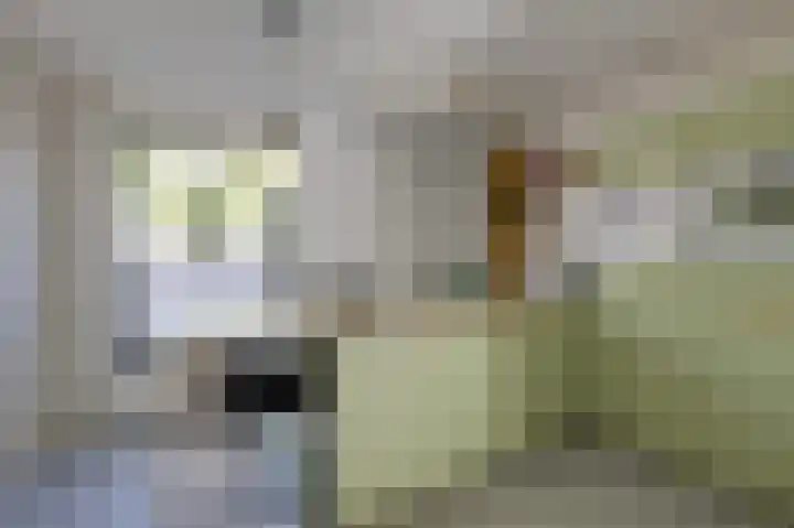 Hof van Londen 42 Doetinchem thumbnail 18