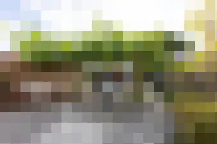 Hof van Londen 42 Doetinchem thumbnail 24