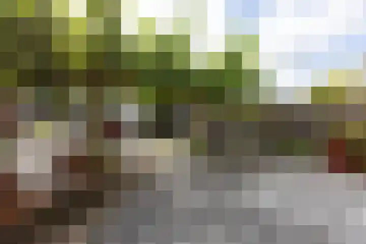 Hof van Londen 42 Doetinchem thumbnail 25