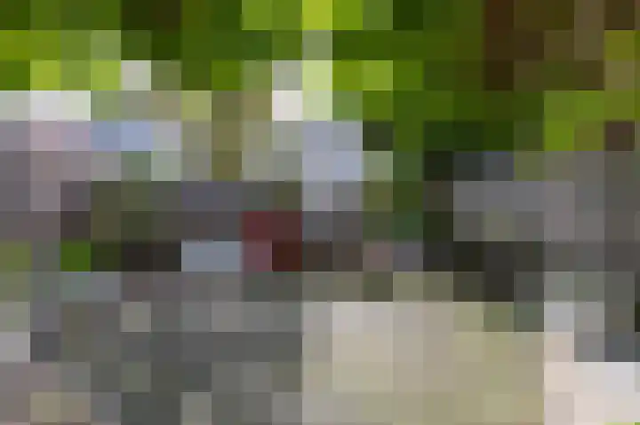 Hof van Londen 42 Doetinchem thumbnail 26