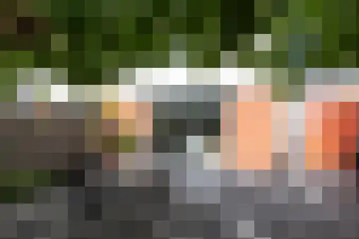 Hof van Londen 42 Doetinchem thumbnail 29