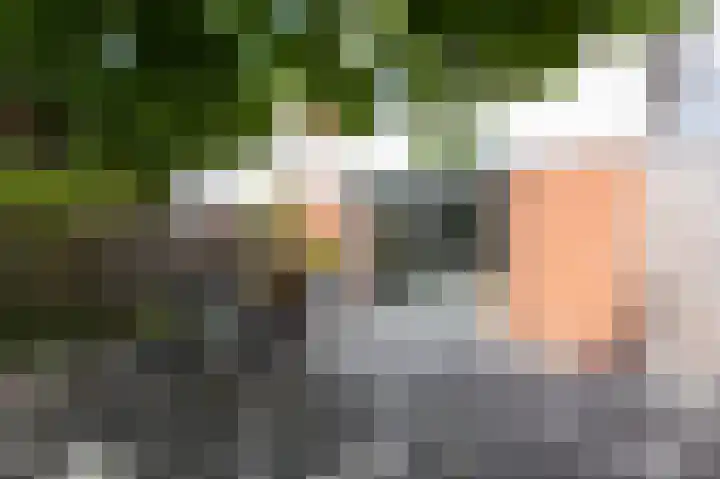Hof van Londen 42 Doetinchem thumbnail 30