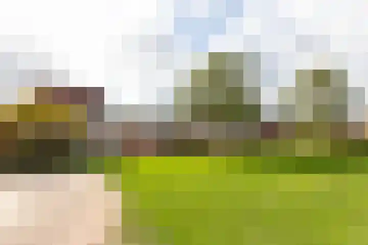 Hof van Londen 42 Doetinchem thumbnail 4