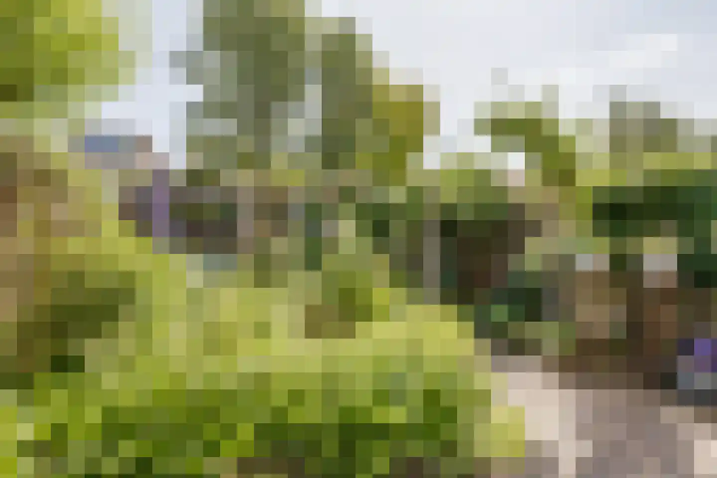 Hof van Londen 62 Doetinchem thumbnail 37