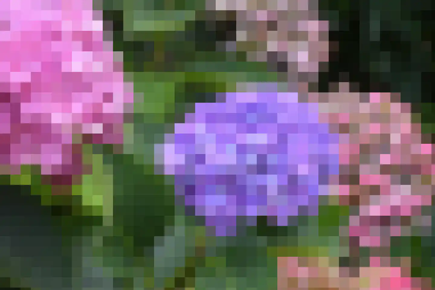 Hof van Londen 62 Doetinchem thumbnail 4