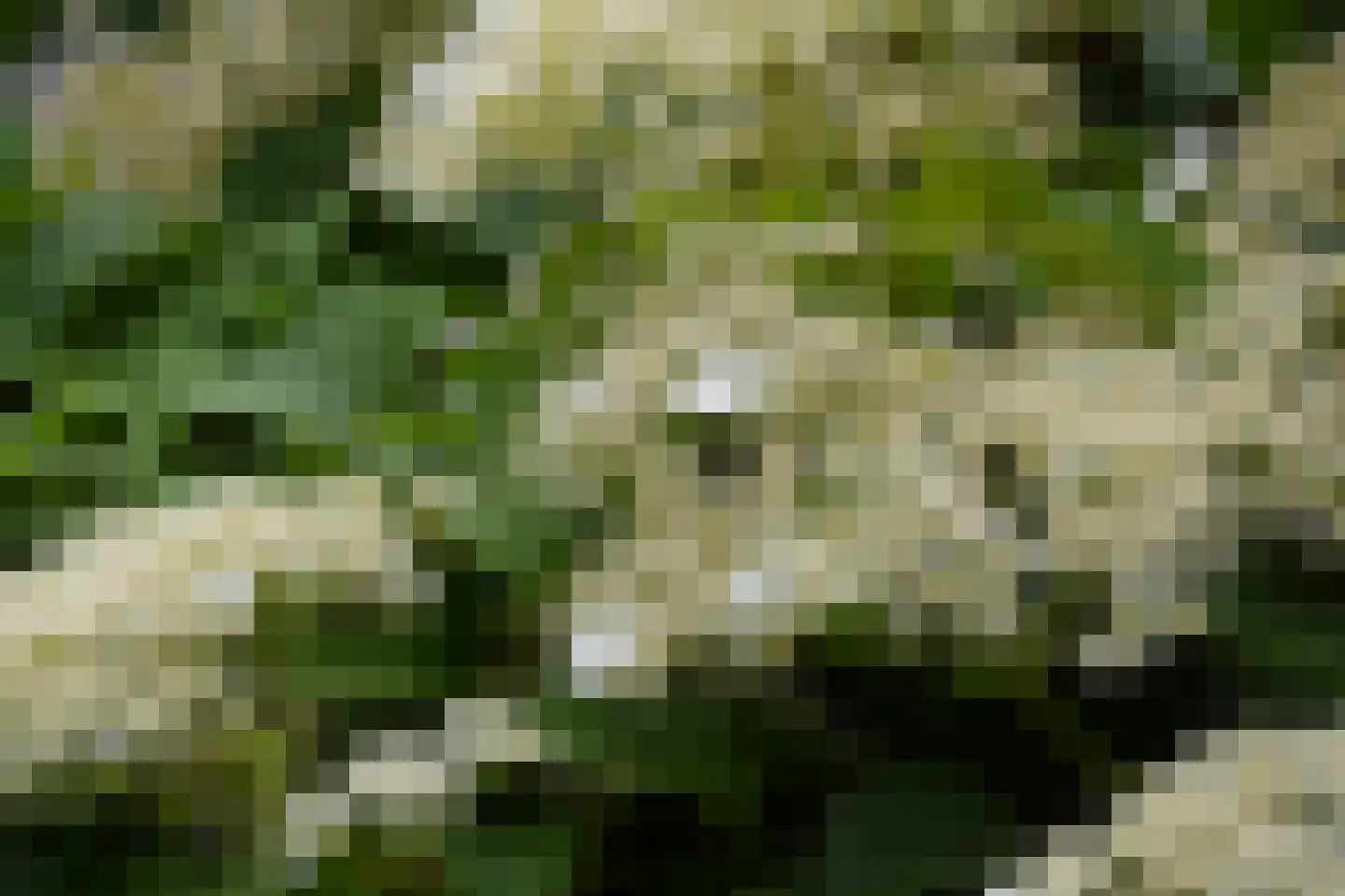 Hof van Londen 62 Doetinchem thumbnail 42