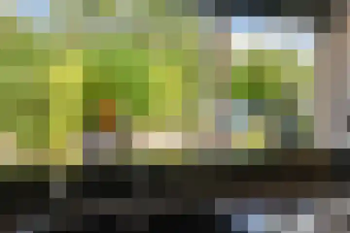 Hof van Loosduinen 29 Nootdorp thumbnail 17