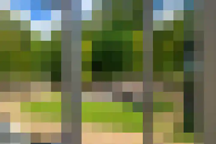 Hof van Loosduinen 29 Nootdorp thumbnail 18