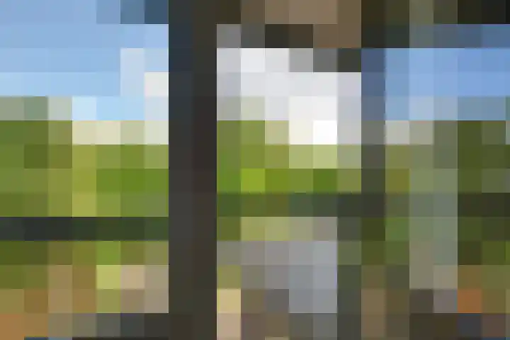 Hof van Loosduinen 29 Nootdorp thumbnail 22