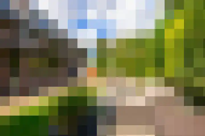 Hof van Loosduinen 29 Nootdorp thumbnail 43
