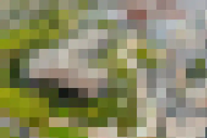 Hof van Luxemburg 202 Alkmaar thumbnail 37