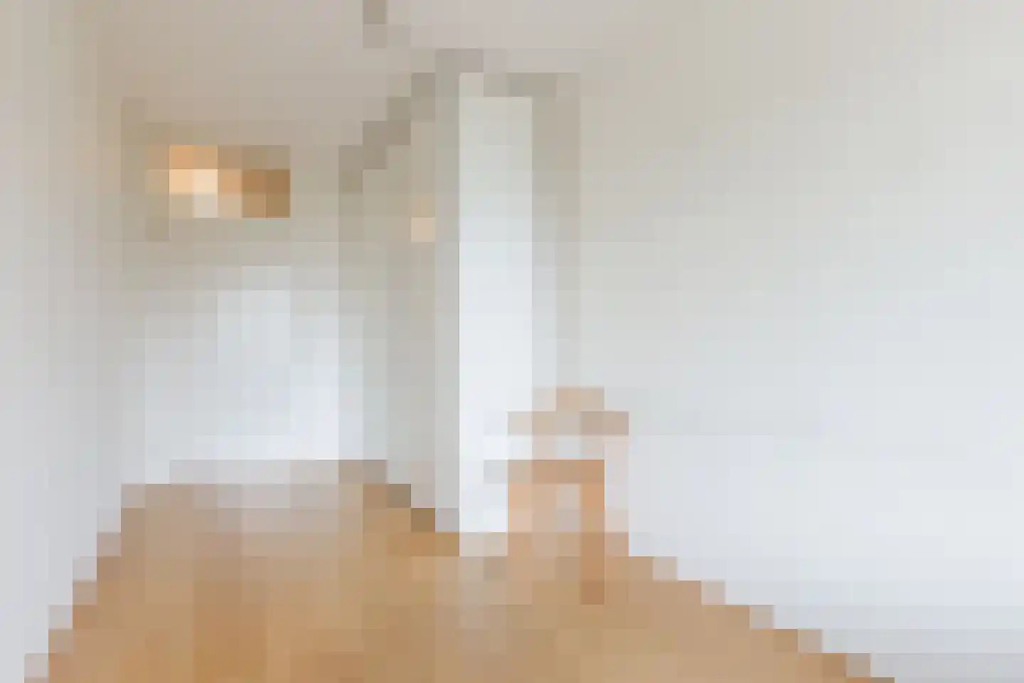 Hof van Luxemburg 238 Alkmaar thumbnail 11